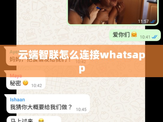 云端智联怎么连接whatsapp