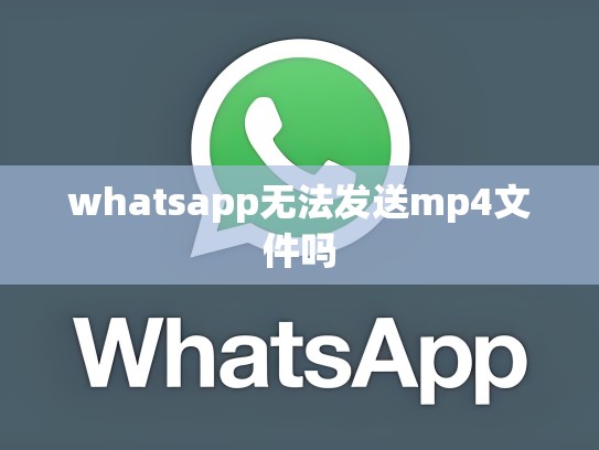 whatsapp无法发送mp4文件吗