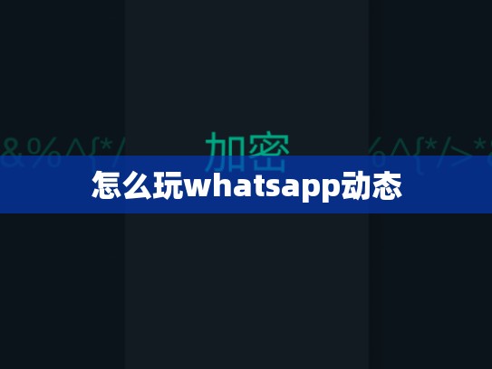 怎么玩whatsapp动态