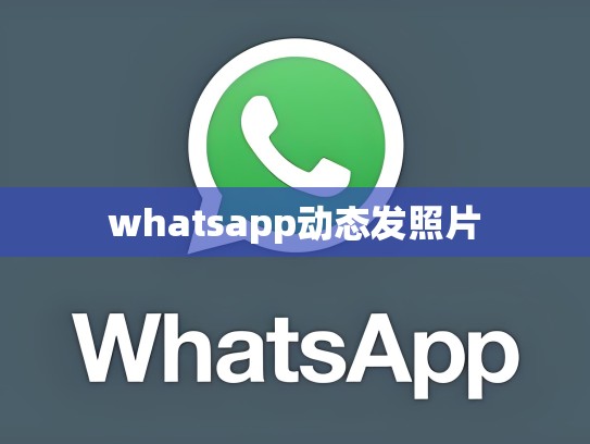 whatsapp动态发照片
