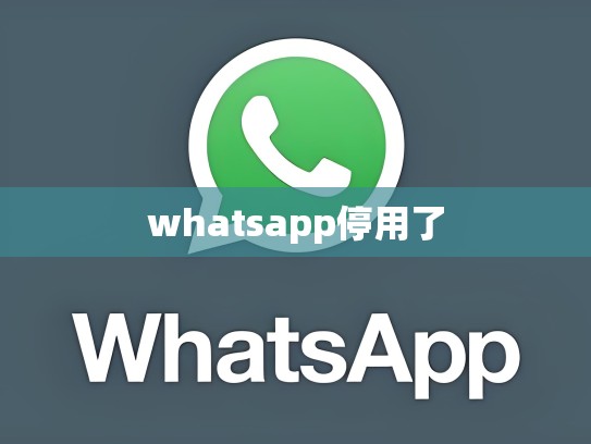 whatsapp停用了