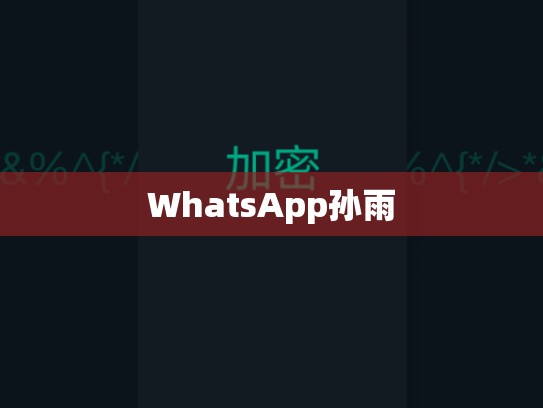 WhatsApp孙雨