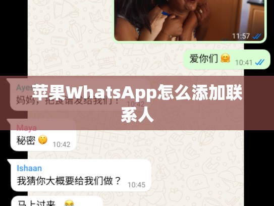 苹果WhatsApp怎么添加联系人