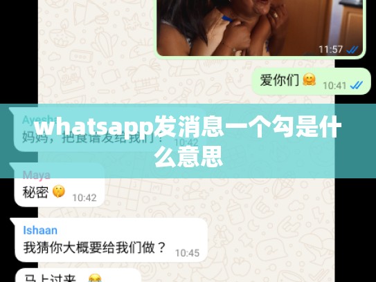 whatsapp发消息一个勾是什么意思
