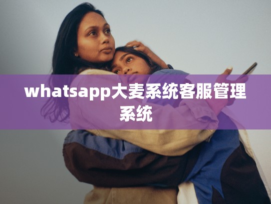 whatsapp大麦系统客服管理系统