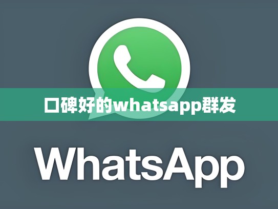 口碑好的whatsapp群发