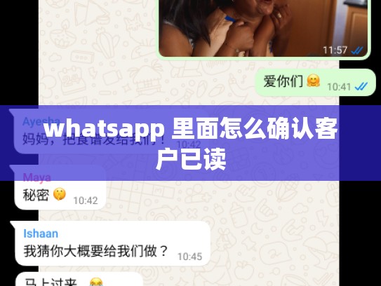 whatsapp 里面怎么确认客户已读