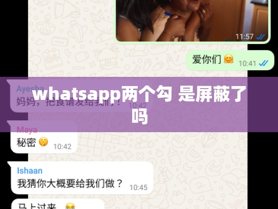 whatsapp两个勾 是屏蔽了吗