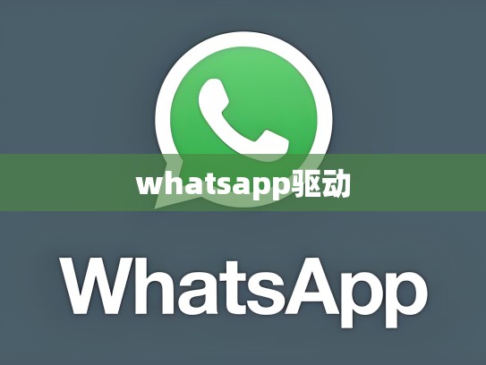 whatsapp驱动