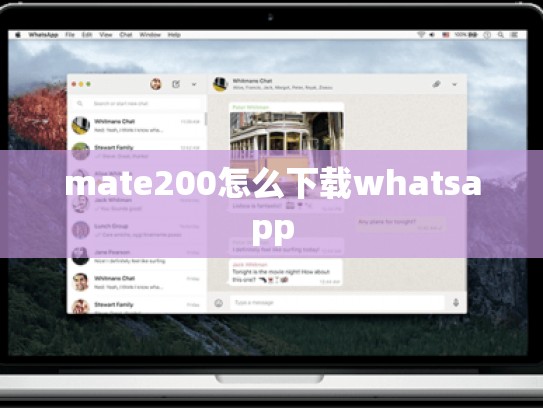 mate200怎么下载whatsapp
