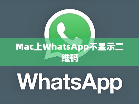 Mac上WhatsApp不显示二维码