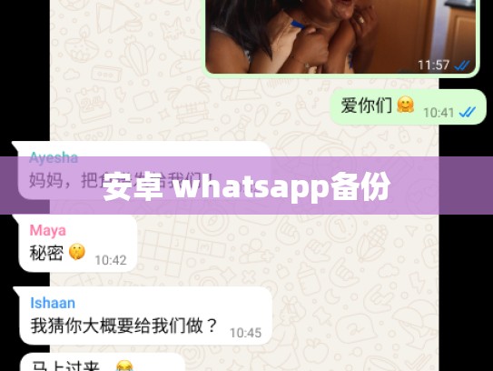 安卓 whatsapp备份