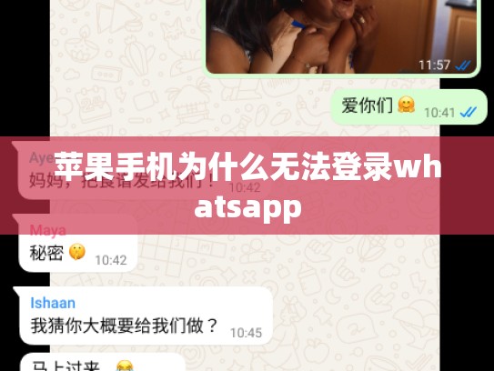 苹果手机为什么无法登录whatsapp