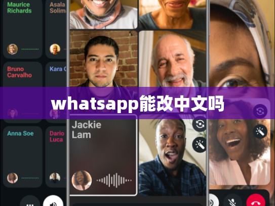 whatsapp能改中文吗