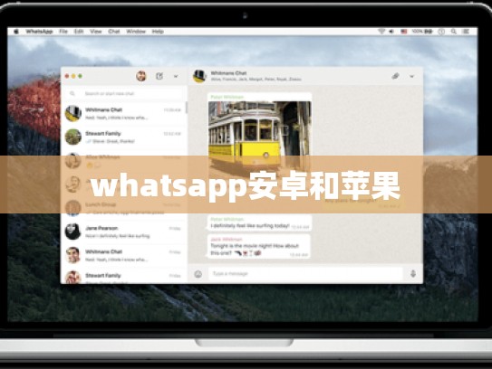 whatsapp安卓和苹果