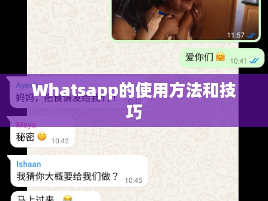 Whatsapp的使用方法和技巧