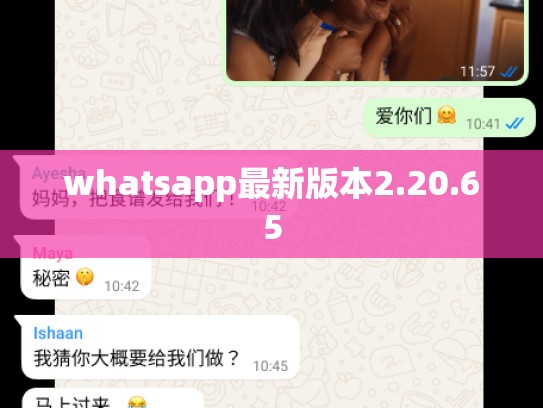 whatsapp最新版本2.20.65