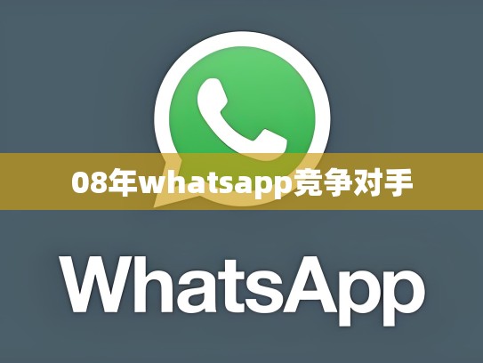 08年whatsapp竞争对手