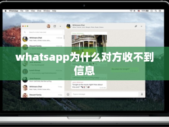 whatsapp为什么对方收不到信息