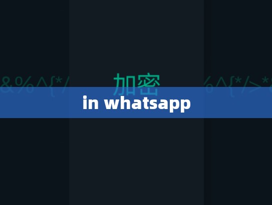 in whatsapp