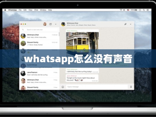 whatsapp怎么没有声音
