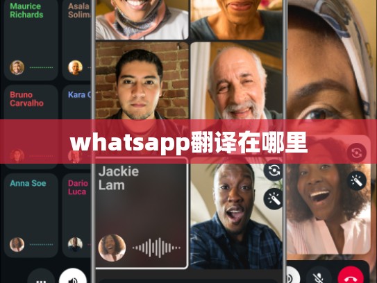 whatsapp翻译在哪里