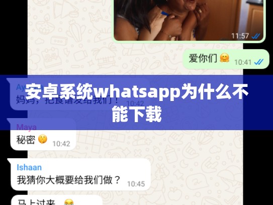 安卓系统whatsapp为什么不能下载