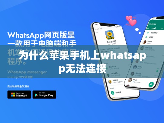 为什么苹果手机上whatsapp无法连接