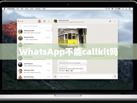WhatsApp不能callkit吗