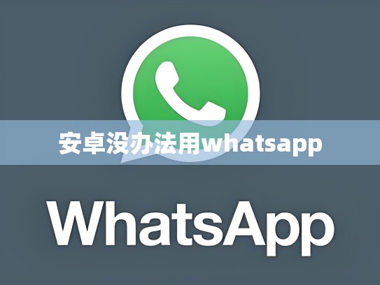 安卓没办法用whatsapp