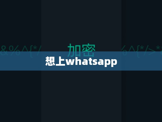 想上whatsapp