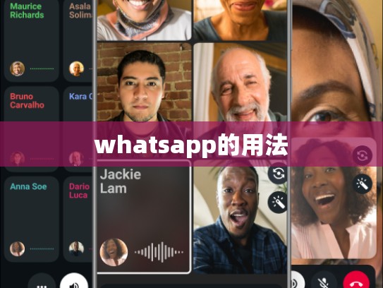 whatsapp的用法