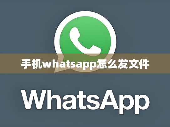 手机whatsapp怎么发文件