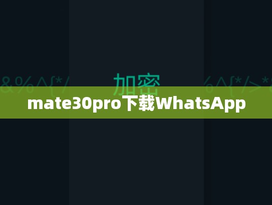 mate30pro下载WhatsApp