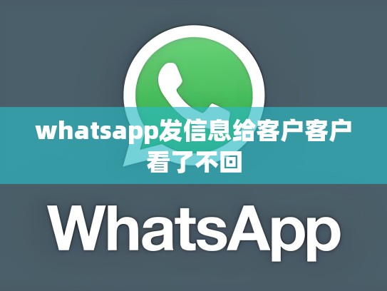 whatsapp发信息给客户客户看了不回