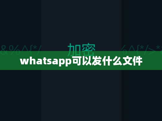 whatsapp可以发什么文件