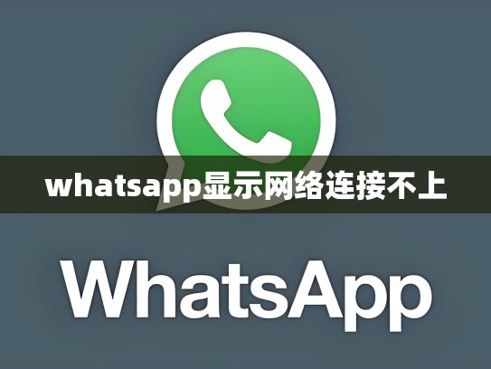 whatsapp显示网络连接不上