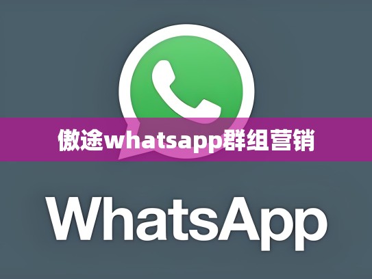 傲途whatsapp群组营销