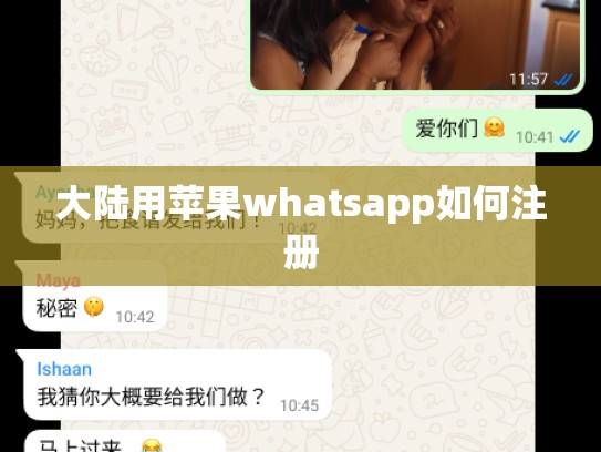 大陆用苹果whatsapp如何注册