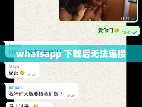 whatsapp 下载后无法连接