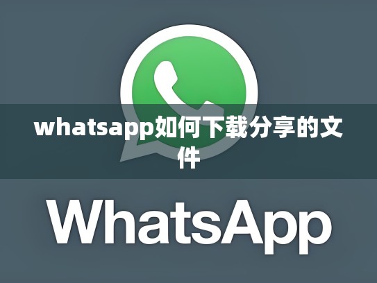 whatsapp如何下载分享的文件