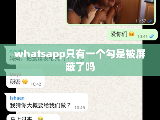 whatsapp只有一个勾是被屏蔽了吗