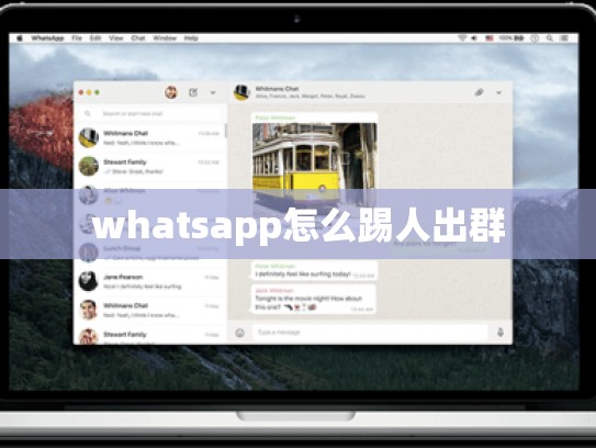 whatsapp怎么踢人出群