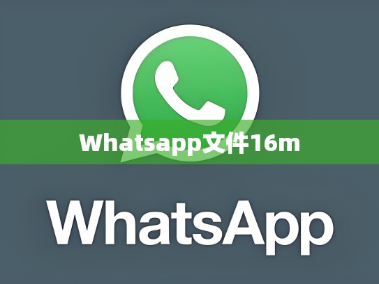 Whatsapp文件16m