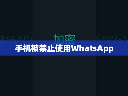手机被禁止使用WhatsApp
