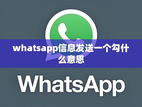 whatsapp信息发送一个勾什么意思