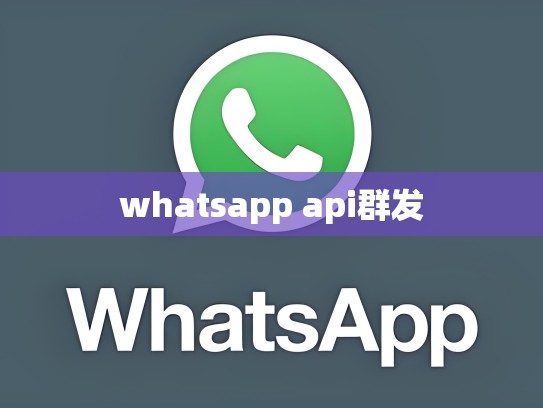 whatsapp api群发