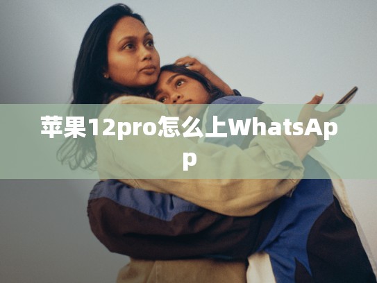 苹果12pro怎么上WhatsApp