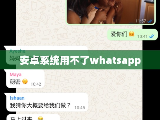 安卓系统用不了whatsapp