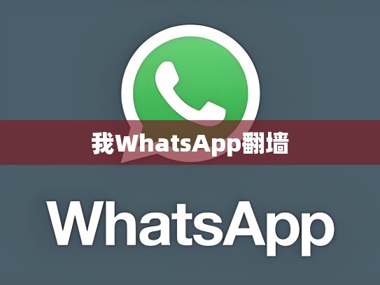 我WhatsApp翻墙